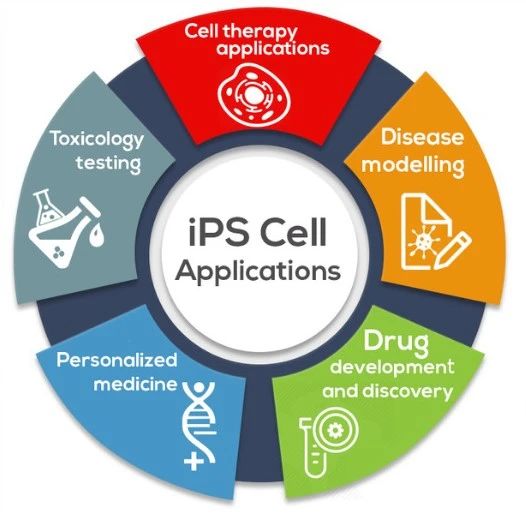 1756109878124084.jpg 微信图片_20250722131417.jpg