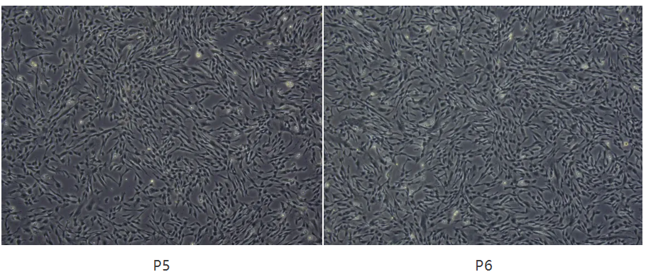 1756192997432888.png 微信图片_20250826152112_110_90.png