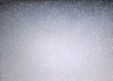 1756275874539336.png 1.png