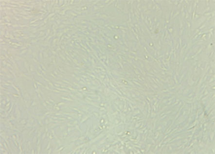 1756276268829846.jpg 2.jpg