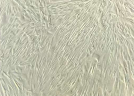 1756276278841577.jpg 3.jpg