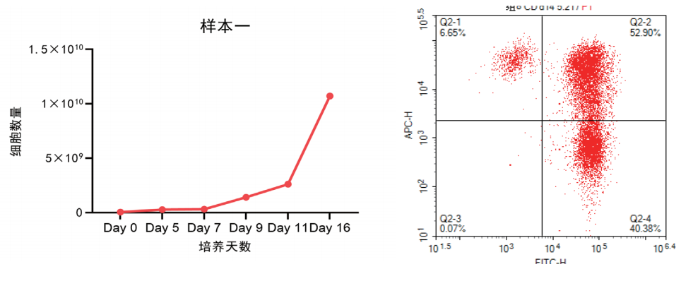 1759219591459737.png 1.png