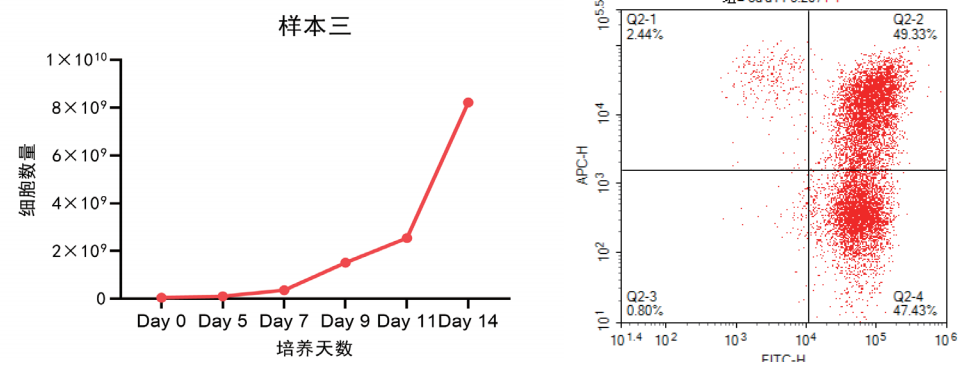 1759219615872248.png 3.png