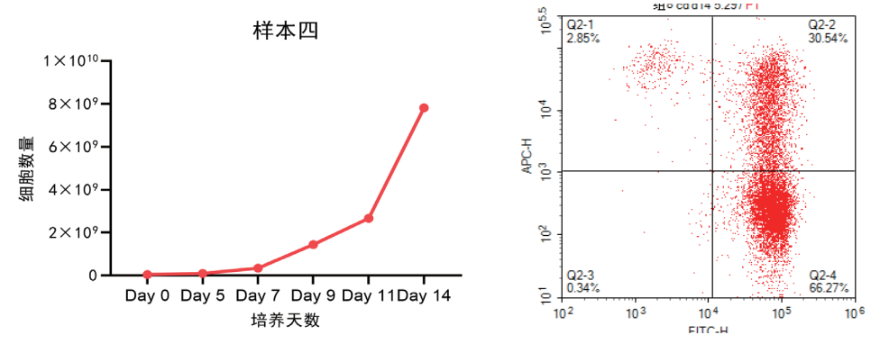 1759219624943350.png 4.png