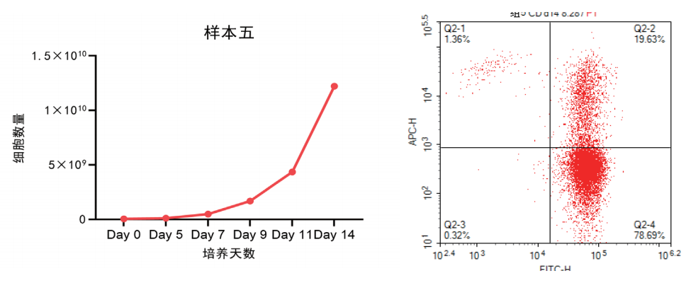 1759219633325985.png 5.png