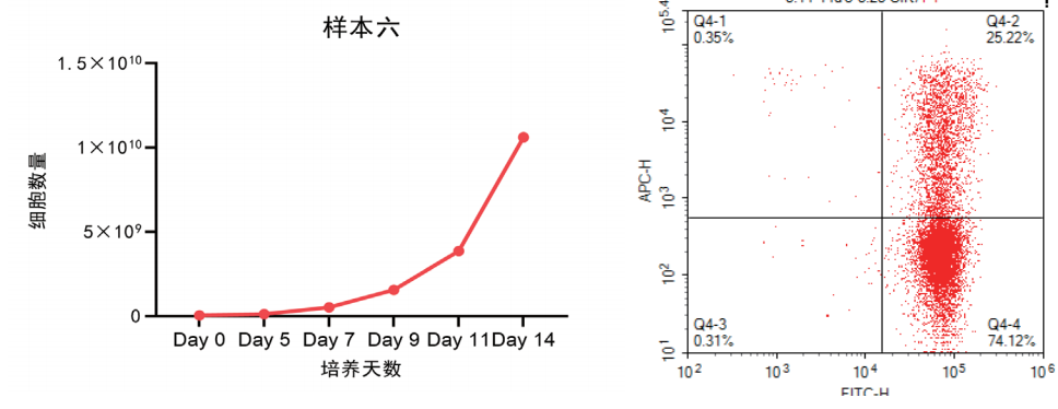 1759219643137001.png 6.png