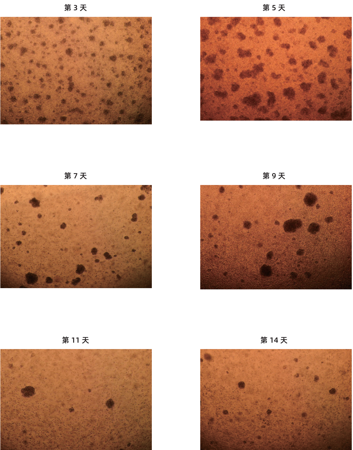 1759219656214125.png 7.png