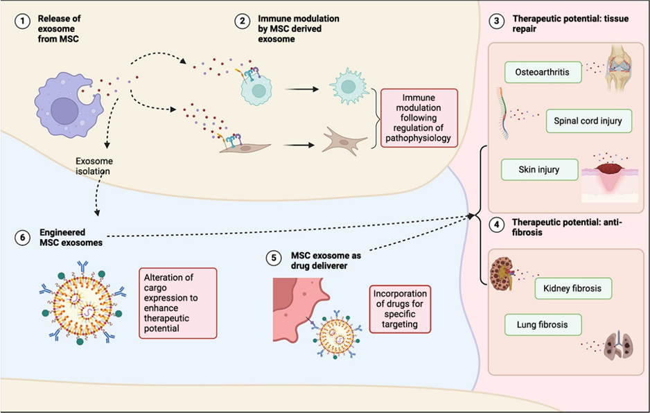 1759220795169563.png 微信图片_20250805090937.png