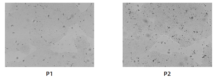 1763006113316294.png image.png