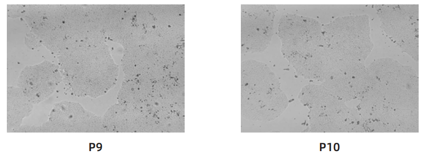 1763006131501509.png image.png