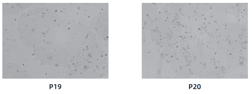 1763006164992523.png image.png