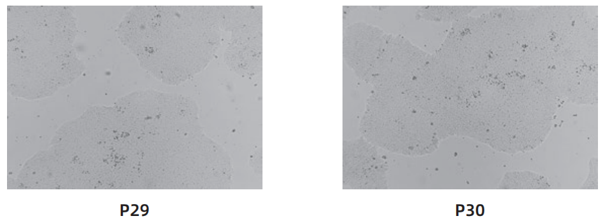 1763006181765168.png image.png