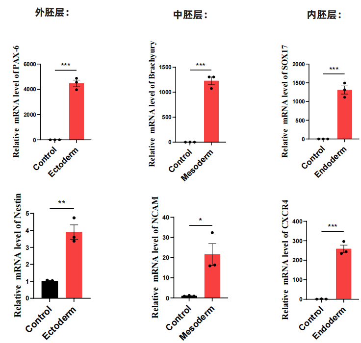 1763010436588933.png image.png