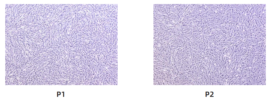 1763010939481847.png image.png