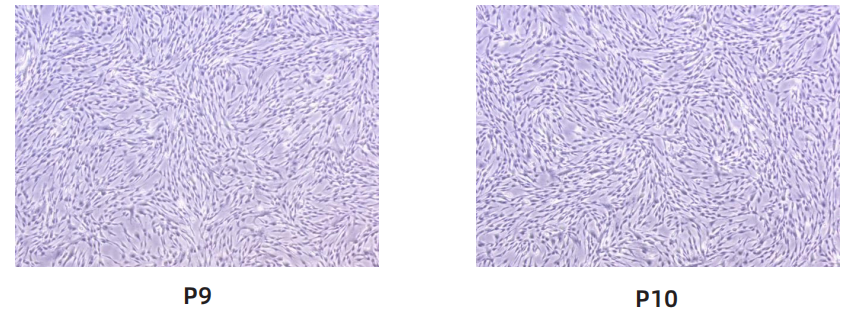 1763010957639842.png image.png