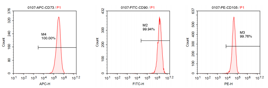 1763011089881521.png image.png