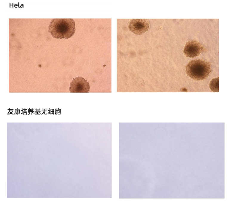 1763011256785670.png image.png