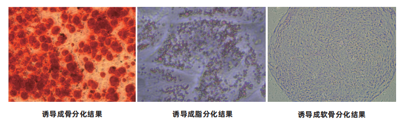 1763013488206855.png image.png