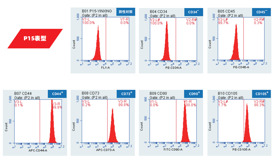 1763013545634065.png image.png