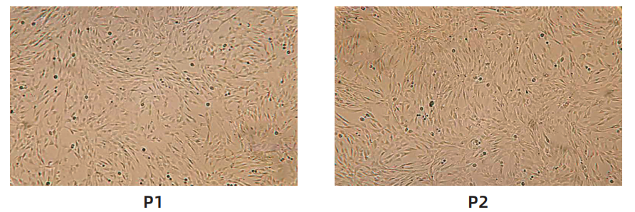 1763013582175820.png image.png