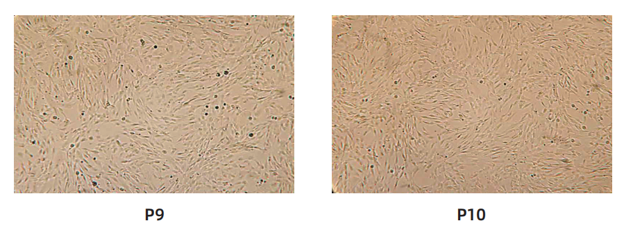 1763013598475138.png image.png