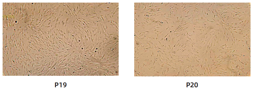 1763013610675905.png image.png