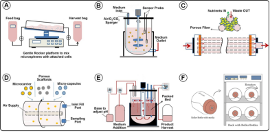 1763704207915909.png image.png