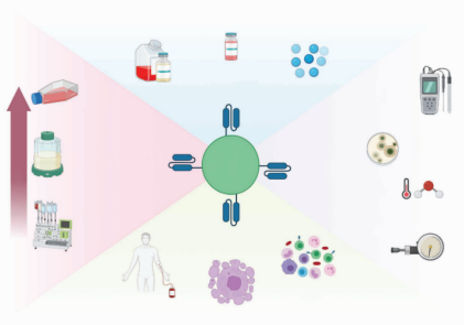 图2 大规模CAR - T细胞生产中的制造变量 图2 大规模CAR - T细胞生产中的制造变量