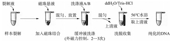 1767055512852349.png 1767055512852349.png