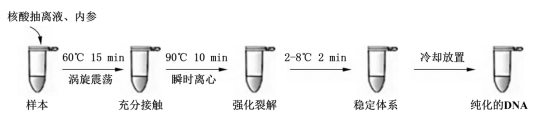 1767055526159720.png 1767055526159720.png