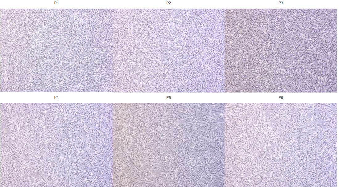 5d08f4124d6689ab4c86e9b9393c037c.png