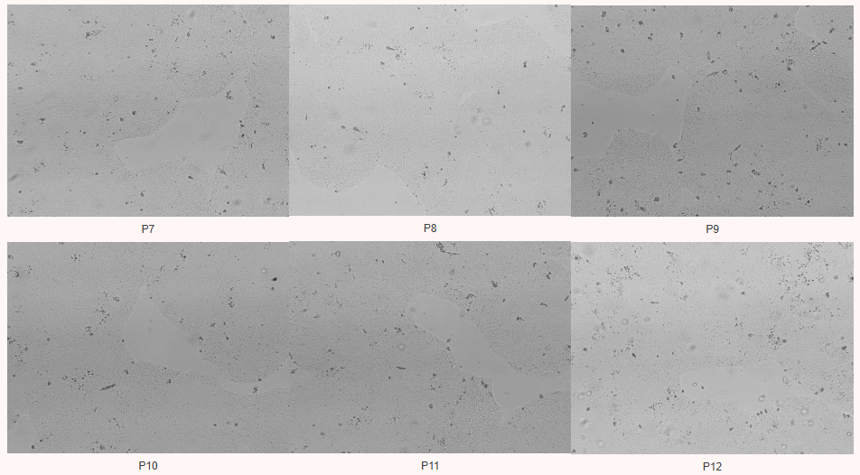 f3f88fc224fd576759a7a3fbb43c592a.png