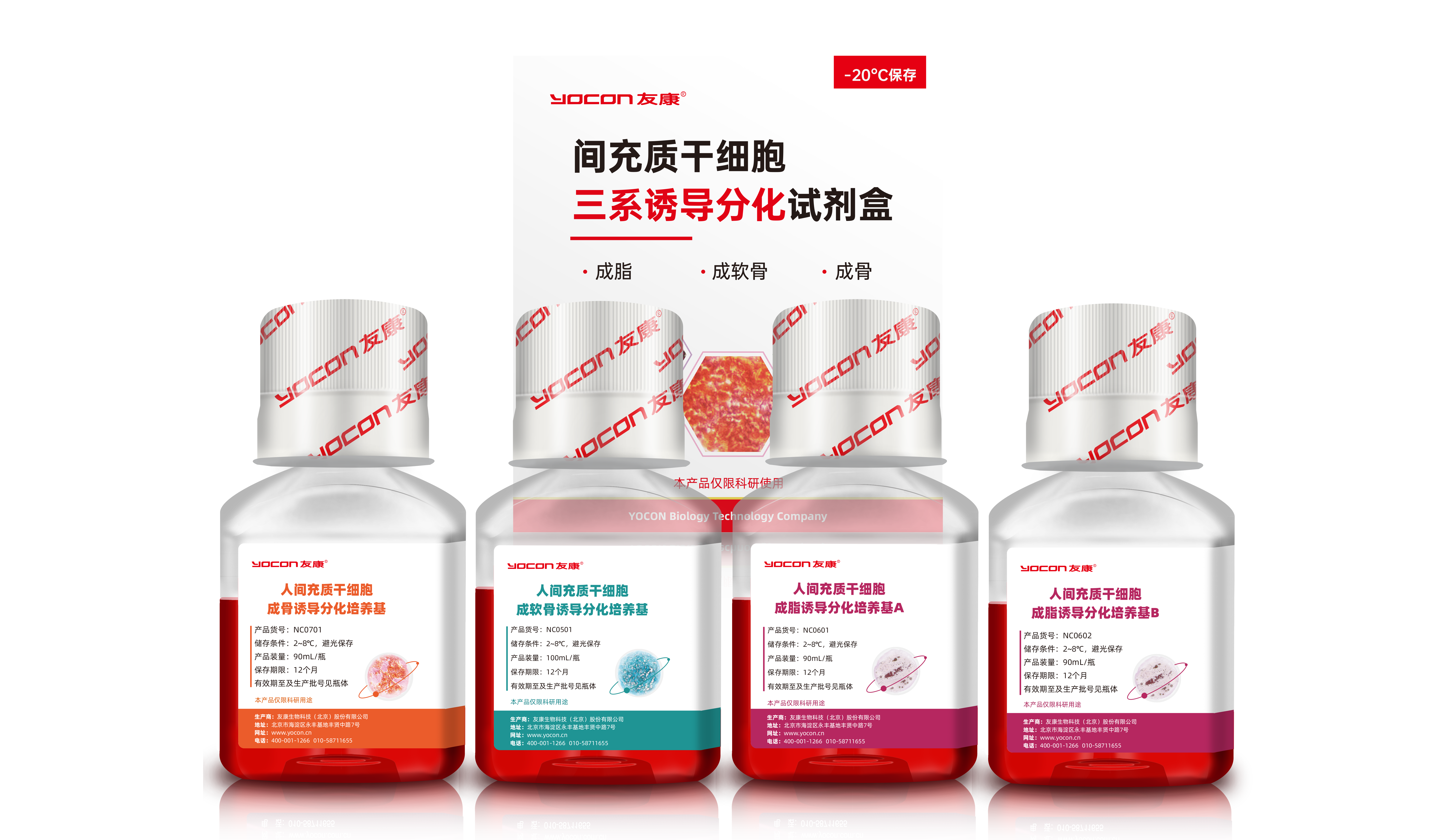 人间充质干细胞三系诱导分化试剂盒
